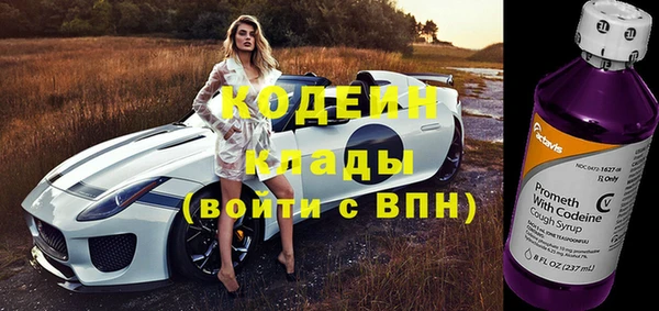 хмурый Валдай