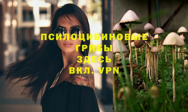 дурь Алексеевка