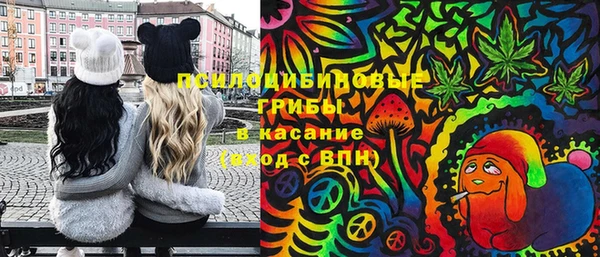 дурь Алексеевка