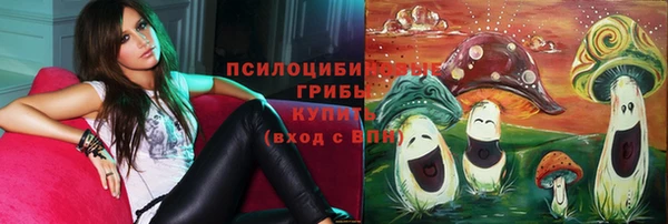 бошки Алзамай