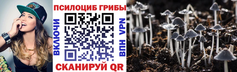 Псилоцибиновые грибы Psilocybe  сколько стоит  Данков 
